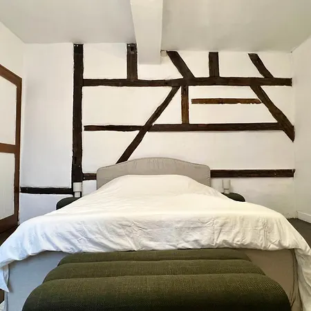 Clementine - 3 En Hypercentre *