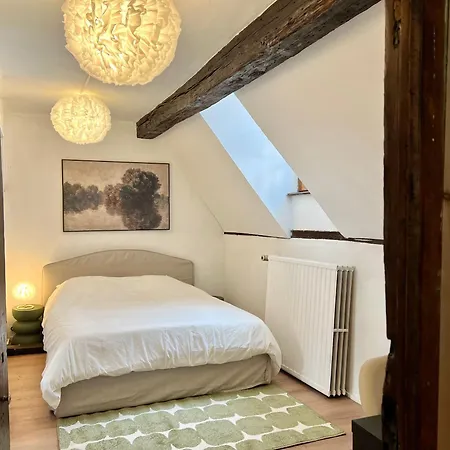 Clementine - 3 En Hypercentre アパート