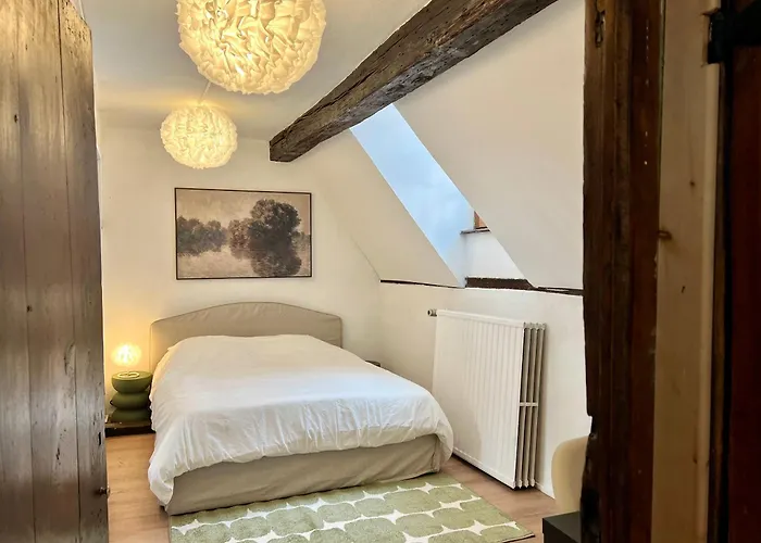 Clementine - 3 En Hypercentre Appartement